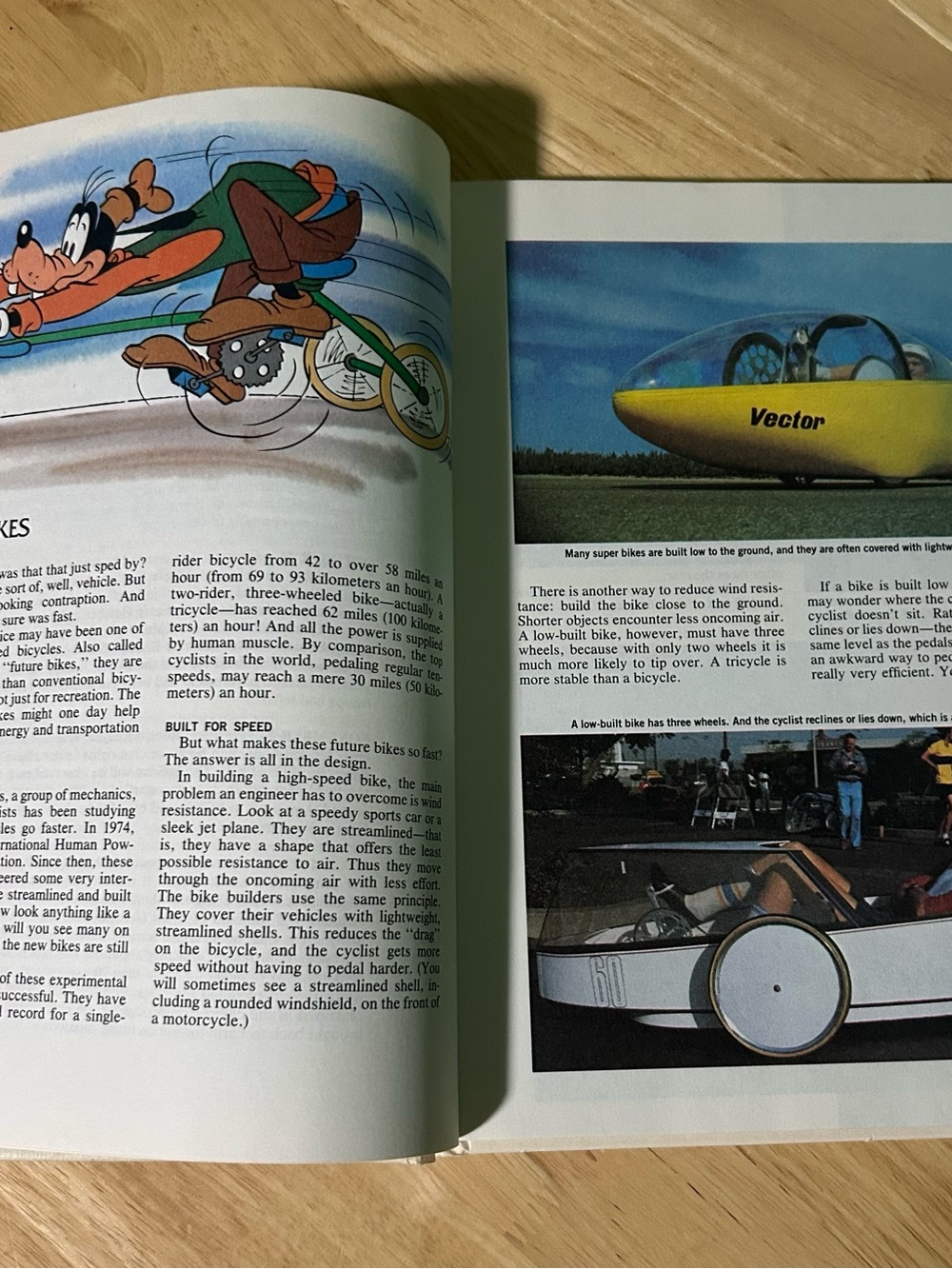 Disney Year Book 1984 Hardcover with Multicolor Character Art - Picture 4 of 12